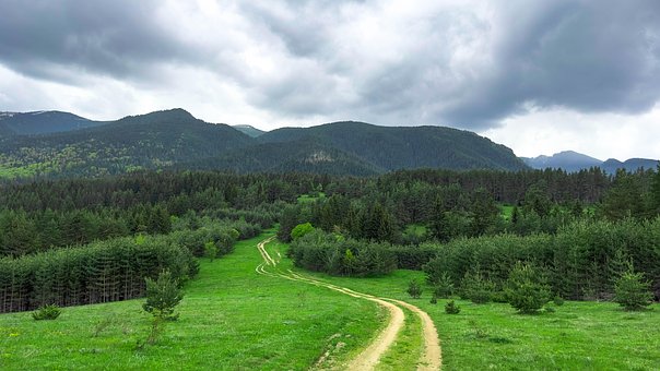 Free Nature Hd Wallpaper photo and picture