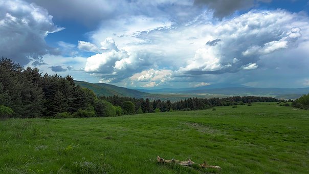 Free Nature Field photo and picture