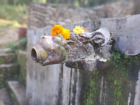 Free Tap Water photo and picture