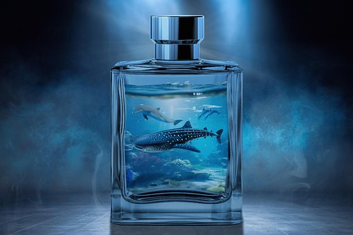 Sticla, Sticla De Parfum, Apa De Toaleta