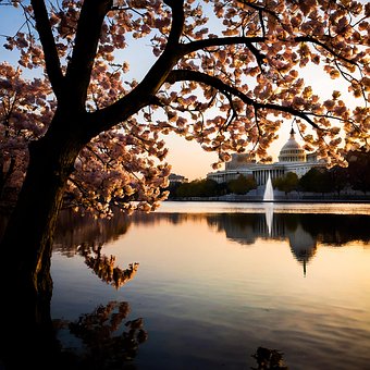 Amerca, Capital, Washington Dc, Guvern