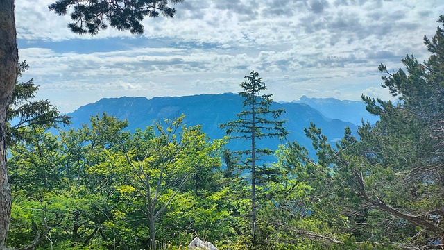 Free Bayer Upper Bavaria photo and picture