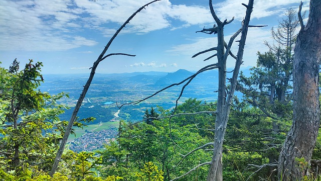 Free Bayer Upper Bavaria photo and picture
