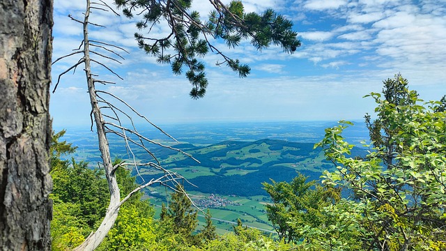 Free Bayer Upper Bavaria photo and picture