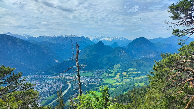 Free Bayer Upper Bavaria photo and picture