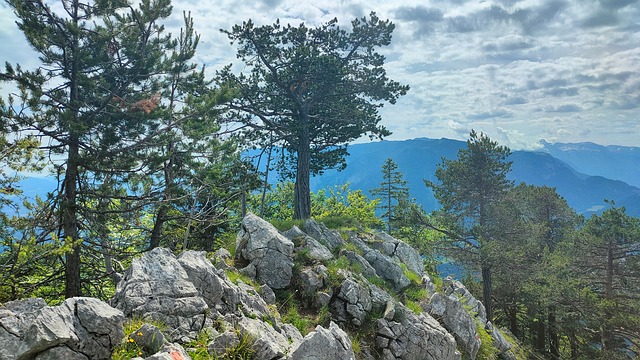 Free Bayer Upper Bavaria photo and picture