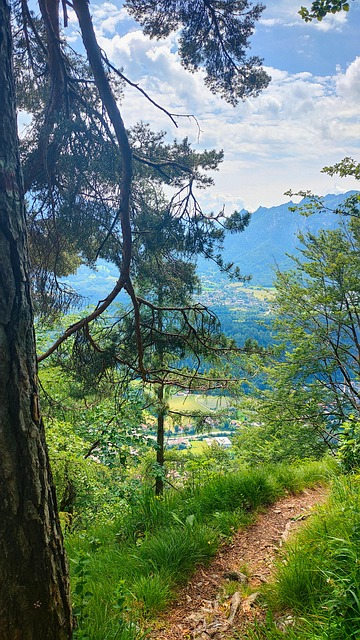Free Bayer Upper Bavaria photo and picture