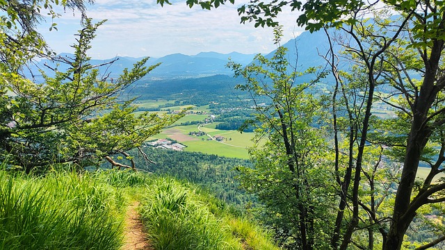 Free Bayer Upper Bavaria photo and picture