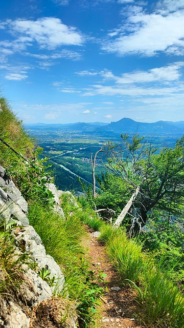 Free Bayer Upper Bavaria photo and picture