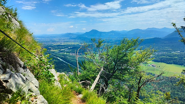 Free Bayer Upper Bavaria photo and picture