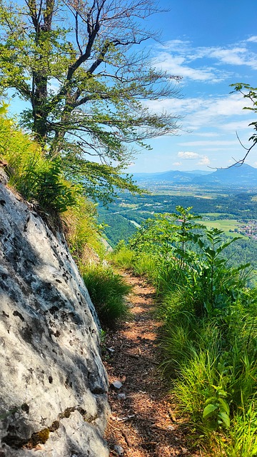 Free Bayer Upper Bavaria photo and picture