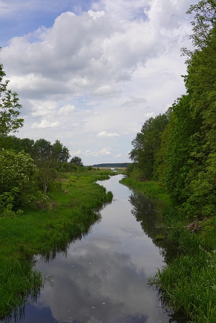 Резервуар, Поток, Небеса, Облака, Лес
