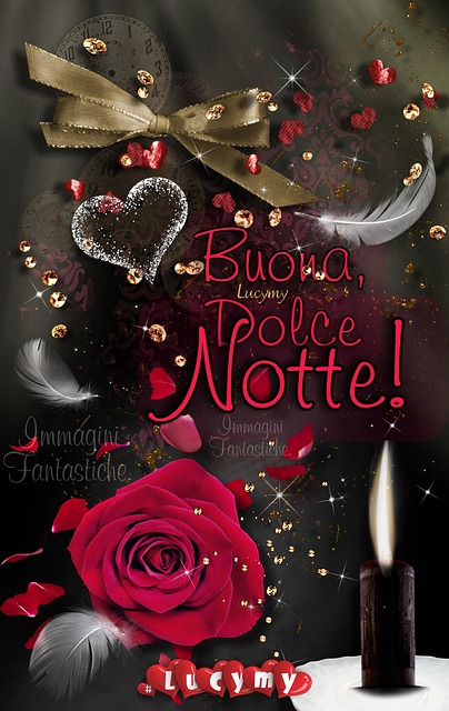 Rose, Blume, Nacht