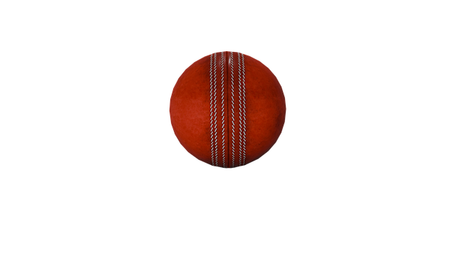 Free ball cricket sport illustration