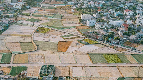 Feilds, Vietnam, Landskab, Natur