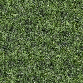 Free Lawn Herb photo and picture