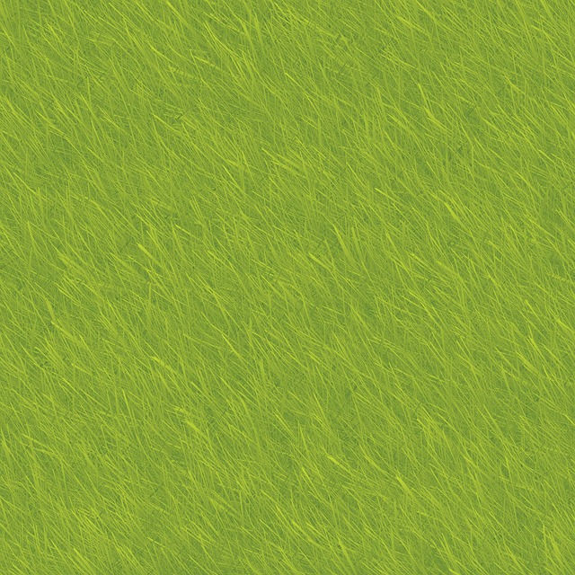 Texture, Green, Grass, Pattern, Paper