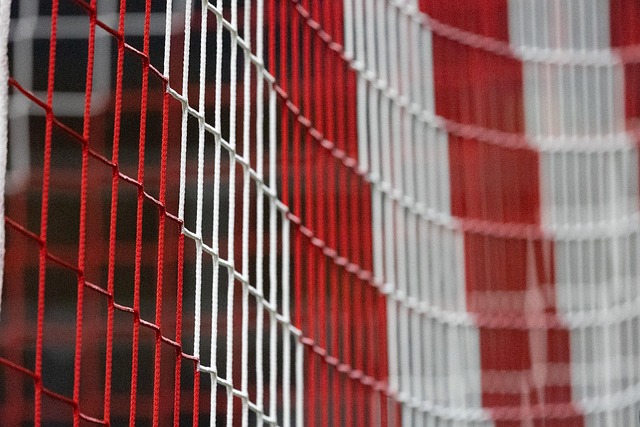 Free Goal Net Red photo and picture