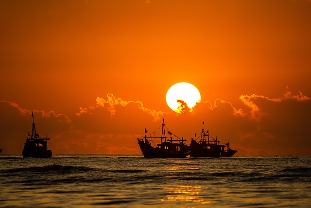 Free Sea Ocean photo and picture
