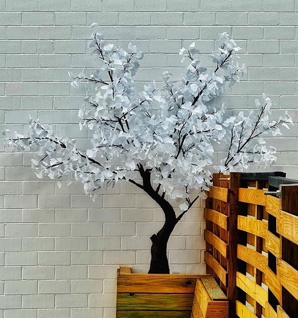 Free Plum Tree photo and picture