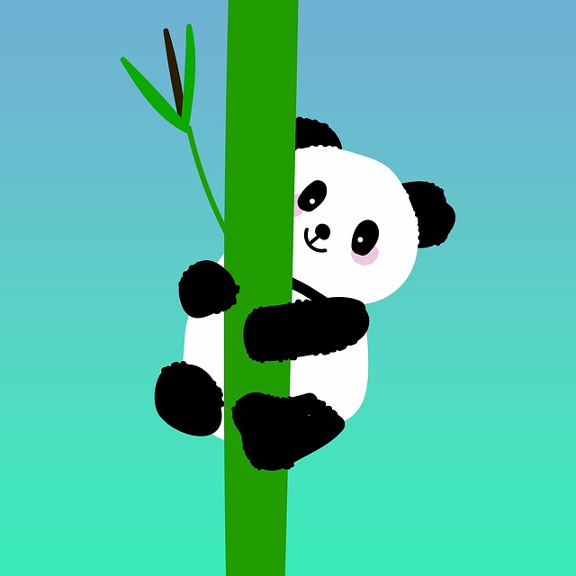 Panda Bambus Br - Kostenloses Bild auf Pixabay