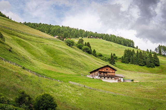 alps, mountain, house, bolzano italy, pine forest, sky, nature, church