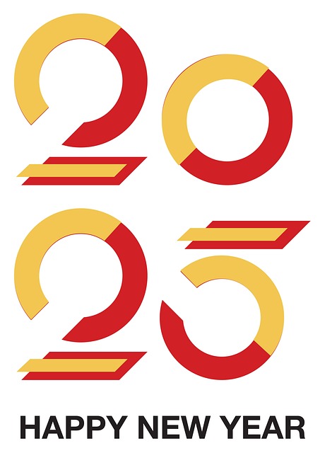 Anul Nou 2025, An Nou