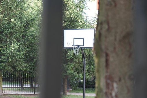 Free Basketball Sport photo and picture