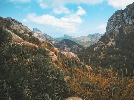 Mallorca, España, Es Colomer, Naturaleza