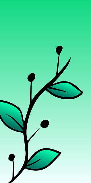 Free Nature Forest illustration and picture