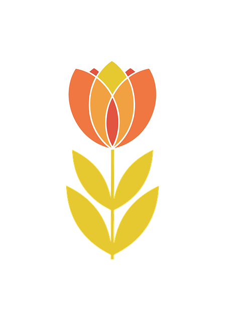 Download free HD stock image of Tulip Flower Free tulip flower floral illustration