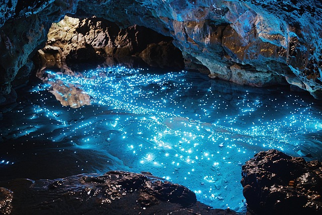 Free bioluminescent tide pool illustration