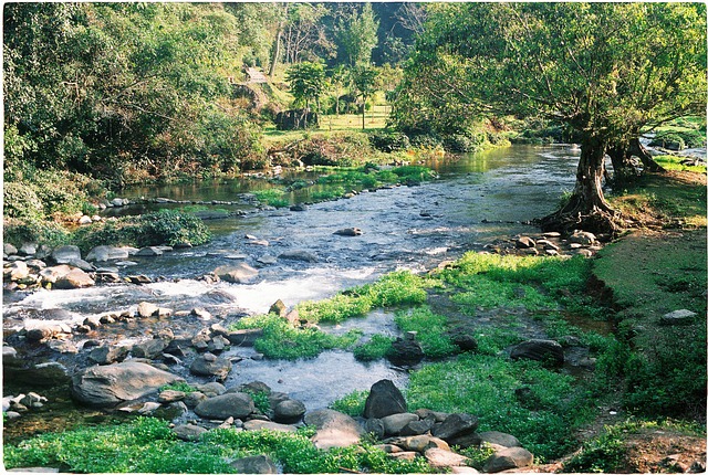 Free Film Vietnam photo and picture