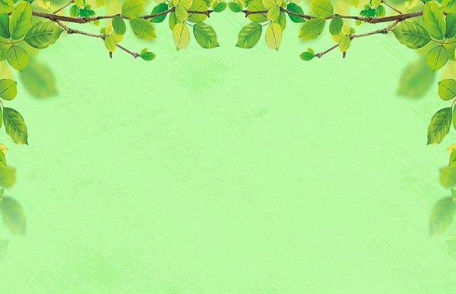 Window Frame Border Art Explore 26,756+ Free Green Framed Window Illustrations: Download Now ...