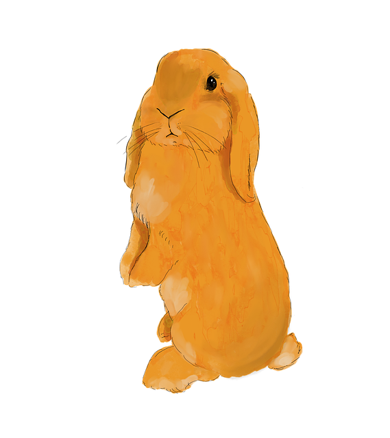 Free Bunny Rabbit illustration and picture
