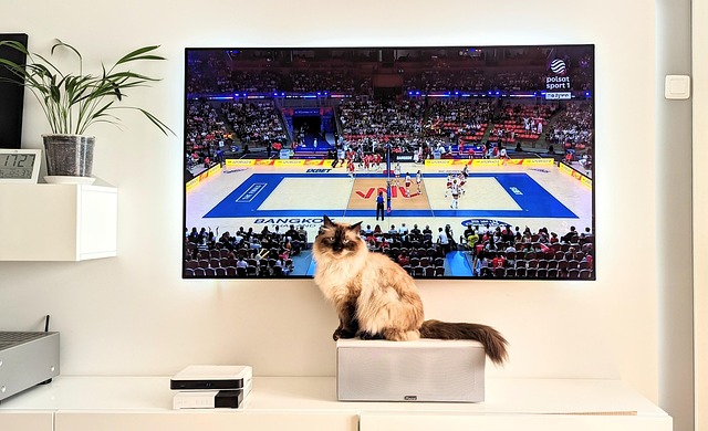 Fernsehgerät, Fernsehen, Bildschirm
