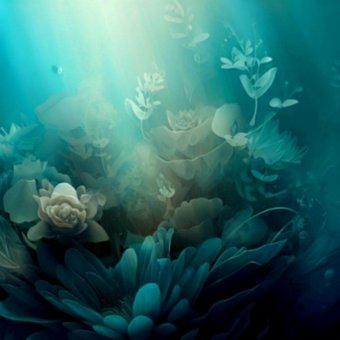 Free Underwater Nature illustration and picture
