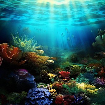 Free Underwater Sea illustration and picture