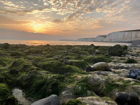 Free Beach Nature photo and picture