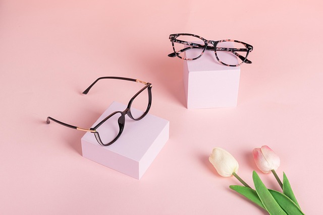 Free Eyeglasses Eye Frames photo and picture