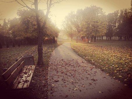 Herfst, Park, De Zon, Duisternis, Bomen