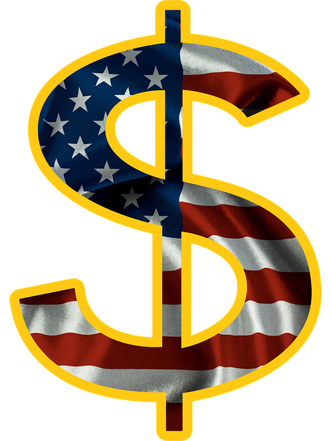 Free dollar badge usa illustration
