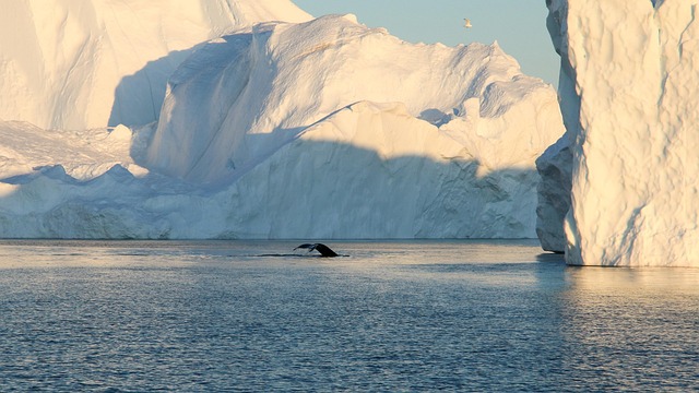 Free Arctic Landscape photo and picture