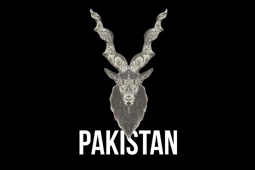 Pakistan, Logo, Muslim, Islamisk, Islam