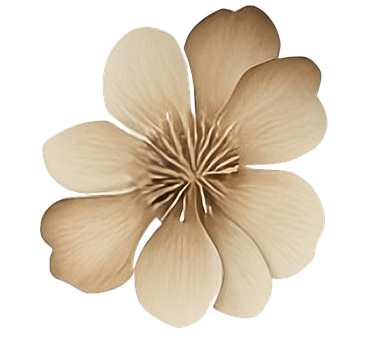 Free Flowers Flora illustration and picture