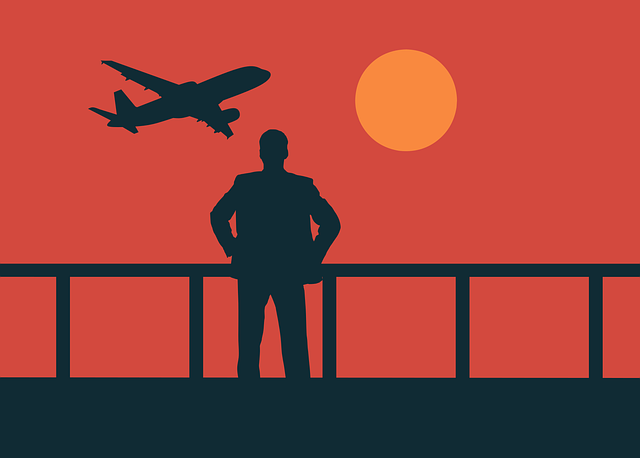 Avión, Viajero, Silueta, Hombre