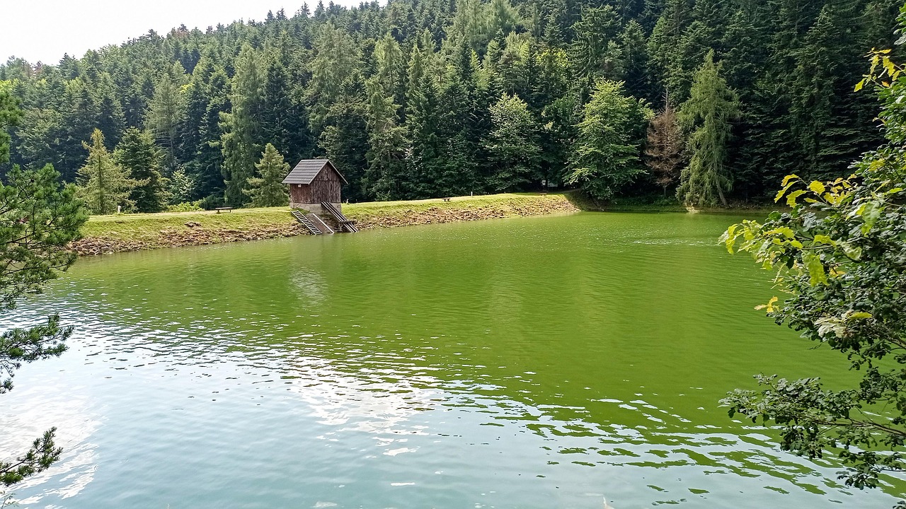 Nature Water Country - Free photo on Pixabay