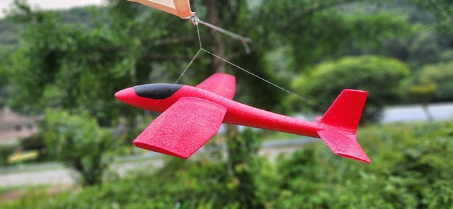 Free Airplane Red photo and picture