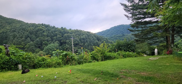 Free Landscape Freedom photo and picture