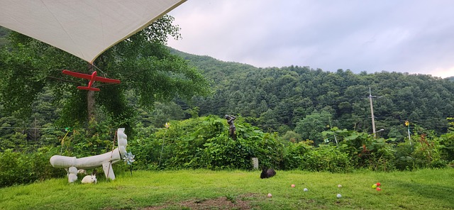 Free Landscape Park photo and picture